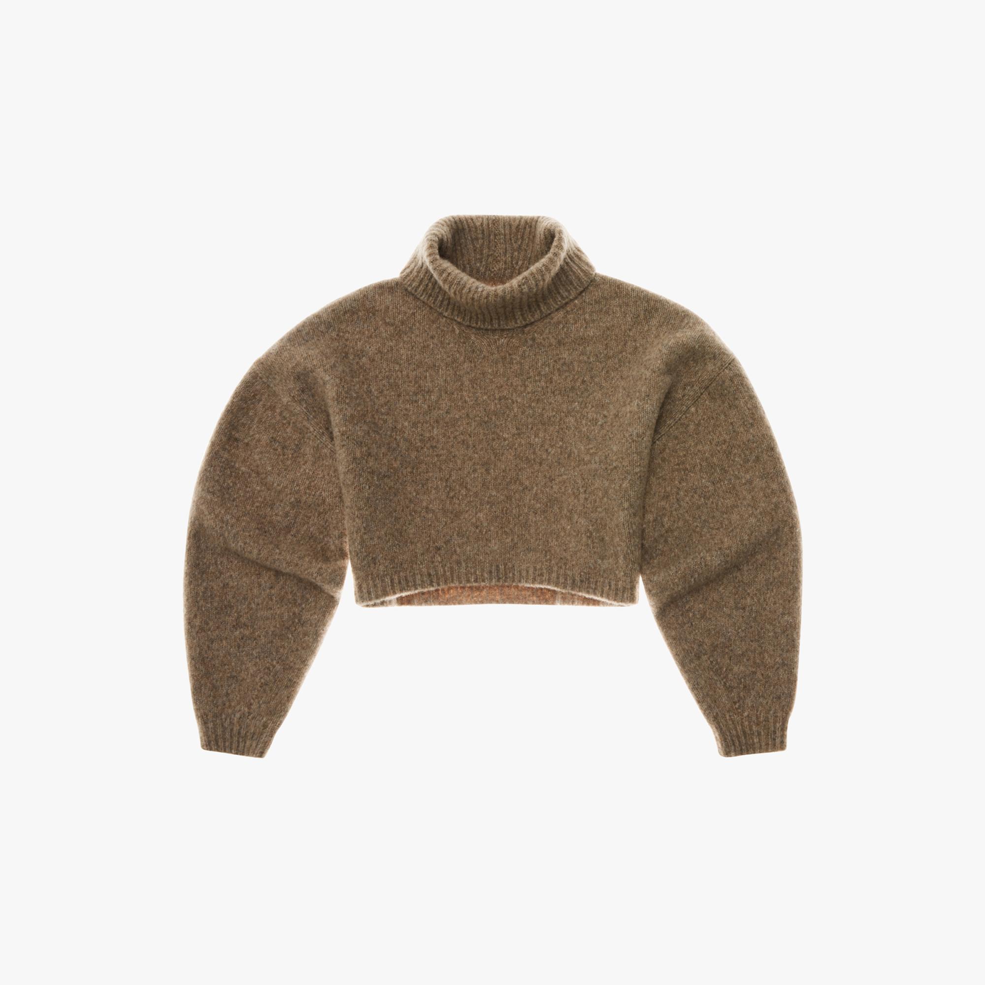 Cropped Turtleneck Sweater